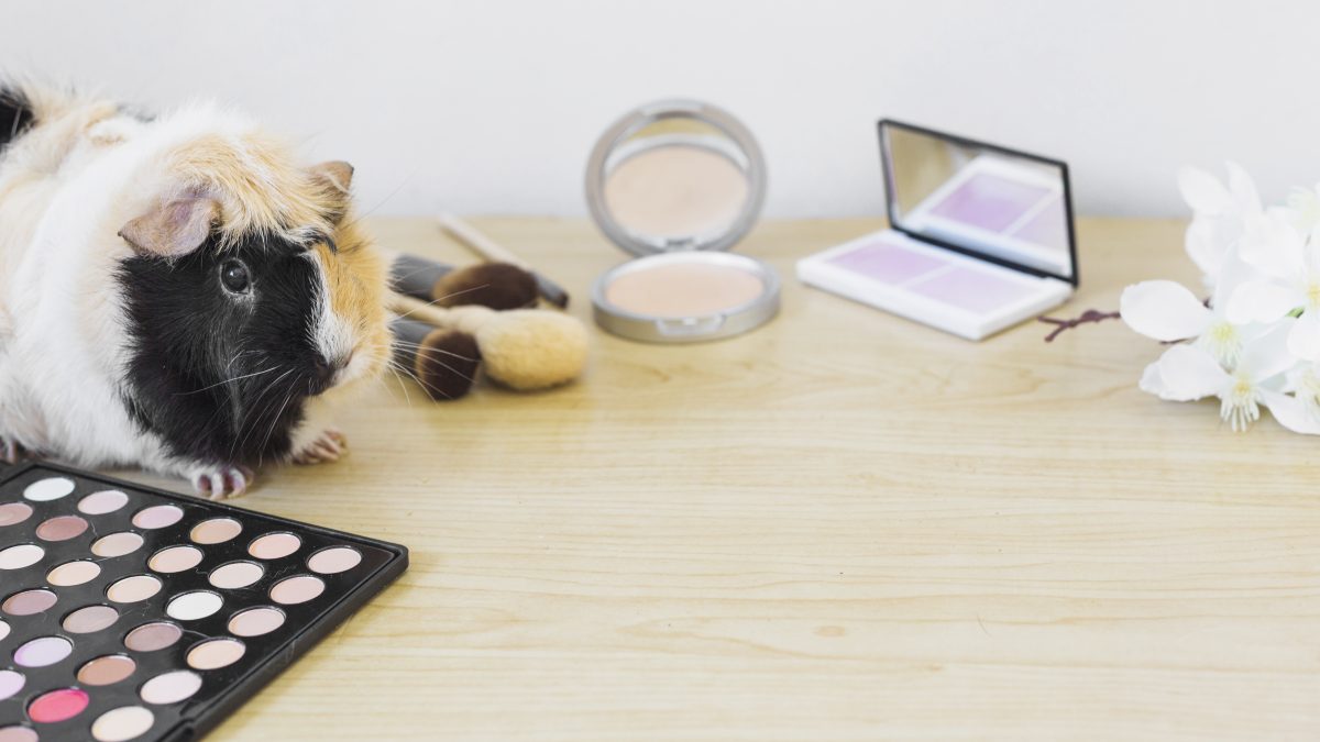 4 Alasan Pentingnya Memilih Makeup Animal Friendly